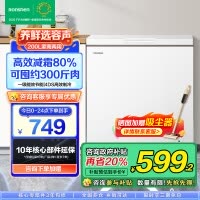 容声(Ronshen) 200升减霜小型冰柜家用冷藏冷冻转换单温冷一级能效家商两用卧式冰箱 BD/BC-200ZMSMB