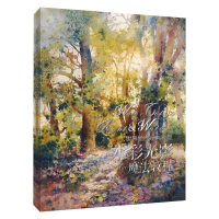 正版新书]世界绘画经典教程 水彩光影魔法教程(美)罗斯·爱汀,(美