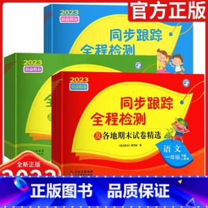 语文[人教版] 二年级上 [正版]2024春亮点给力同步跟踪全程检测各地期末卷精选一二 三四 五六 年级上册下册语文数学