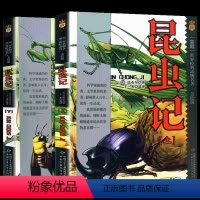 昆虫记(共2册) [正版]全2册 昆虫记三年级必 读法布尔美绘版 四年级书上下册合集小学版全集彩绘版昆虫记中国少年儿童出