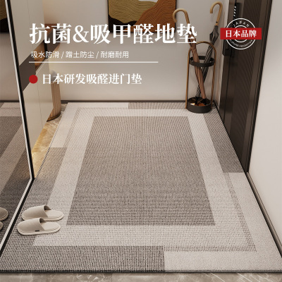 入户门地垫轻奢高级感玄关脚垫耐脏防尘防滑入门地毯进门门口家用