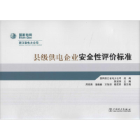 正版新书]县级供电企业安全性评价标准陈安伟 国网浙江省电力公