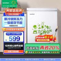 容声(Ronshen)100升顶开门小型冰柜 一级能效 母婴家用冷藏冷冻转换节能单温 国补 (白)BD/BC-100MB