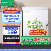 容声(Ronshen)100升顶开门小型冰柜 一级能效 母婴家用冷藏冷冻转换节能单温 国补 (白)BD/BC-100MB