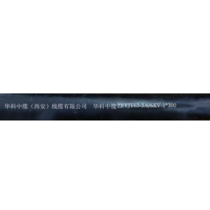 华科中缆 铜芯电源线ZR-YJY63-3.6/6KV-1*300 米