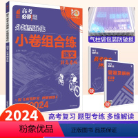 语文 新高考 [正版]2024高考必刷题分题型强化语文专项训练组合小卷新高考版理想树67高考高中语文语言文字应用文言文现