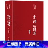 [正版]宋词三百首 彩绘精装 全集原文注释赏析 无障碍阅读中小学生青少年版 唐诗宋词元曲 中国古诗词宋词鉴赏词典文学书籍