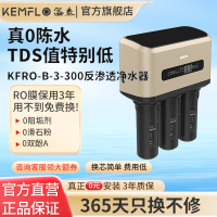 溢泰康富乐KEMFLO净水器商用大通量无桶反渗透纯水直饮RO机RO-B-3-300台