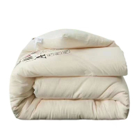 三水依梦 A级棉冬被160*210cm 条