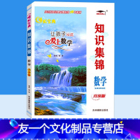 数学(升级版) 小学通用 [友一个正版]知识集锦数学 升级版 培优宝典小学生四年级五年级六年级数学知识大全 基础知识手册