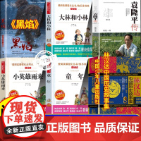 大林和小林林汉达历史故事集中国少儿出版社小英雄雨来黑焰袁隆平传童年高尔基四五年级六年级必读课外书正版上册下册小学生
