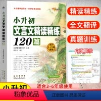 [正版]新版小升初文言文精读精练120篇68所教学学生语文三四五六年级古诗文言文起步阅读专项训练小古文诵读对接初一全解