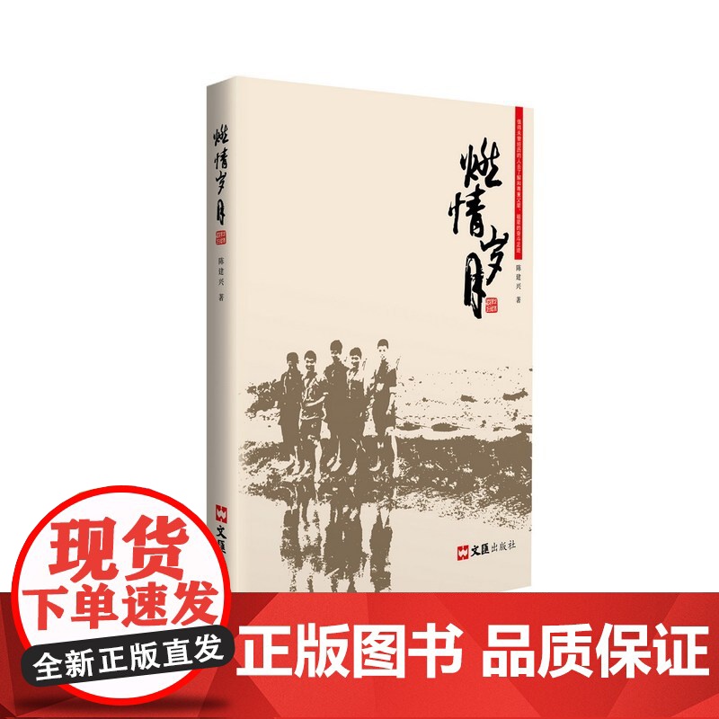 燃情岁月