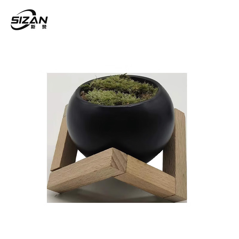 斯赞 个性化花架装架文竹摆件 SZ1022 套