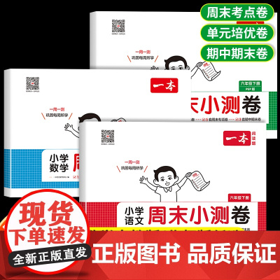 2025新版一本六年级下册试卷语文数学英语测试卷全套人教版北师版pep 小学6下学期同步教材单元测试卷期中期末冲刺培优卷