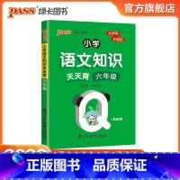 语文 [正版]2022版小学六年级语文基础知识点手册全国通用天天背Qbook语文上下全一册同步词语手册资料包知识点大全专