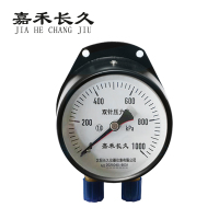 嘉禾长久 双针表 YCS100 台