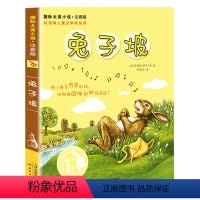 兔子坡 注音 [正版]苹果树上的外婆三年级儿童文学大奖小说小学生8-9-12岁三四五年级寒暑假课外书阅读趣味图书彩装印刷