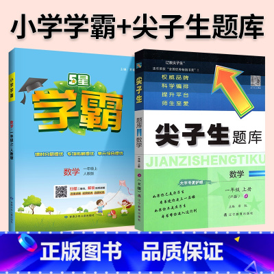难度升级[尖题+学霸]数学 人教版 2本 六年级下 [正版]2024春尖子生题库二三年级四五年级六一年级上下册数学语文人