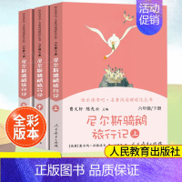 尼尔斯骑鹅旅行记[6下 3本套] [正版]南昌发货六年级上下册快乐读书爱丽丝漫游奇镜童年曹文轩 小学生课外阅读书人教版5
