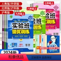 [语文] 人教版 九年级上 [正版]2024版实验班提优训练初中七八九年级上下册语文数学英语物理化学人教外研苏浙教版初中