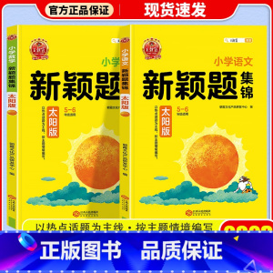 太阳版 数学 小学通用 [正版]2023新版 王朝霞新颖题集锦太阳月亮版知识大盘点语文数学四五六年级学习学霸阅读理解专项