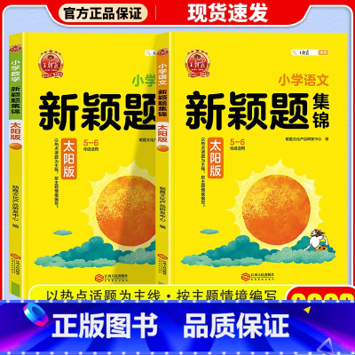 太阳版 数学 小学通用 [正版]2023新版 王朝霞新颖题集锦太阳月亮版知识大盘点语文数学四五六年级学习学霸阅读理解专项