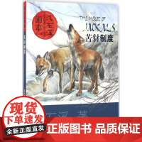 沈石溪画本(第二辑)苦豺制度
