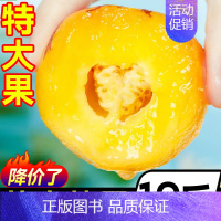 0g 圆果 3斤[中大果18-30个](黄肉熟果) [正版]云南石林人参果大果新鲜水果沙漠整箱人心娃娃正品