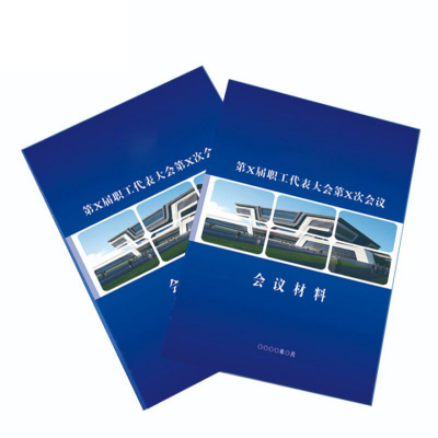 振之宏资料册子A4份 A4(封皮250g亚膜/内页80g双胶146P)份