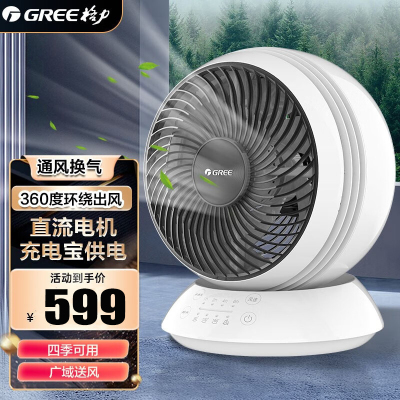 格力(GREE)空气循环扇家用便携电风扇台式摇头电扇远程遥控户外可充电小风扇直流变频落地扇FXTZ-2002Bg5白色
