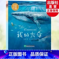 我的大伞 [正版]我的大伞 蒲公英动物绘本系列 沈石溪动物小说单本儿童书籍6-8岁亲子共读母爱亲情故事早教启蒙读物少儿科