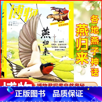 2023年4月[燕归来] [正版]鸻鹬专题博物杂志2023年10月另有1-9月可选+2024全年半年订阅中国国家地理青少