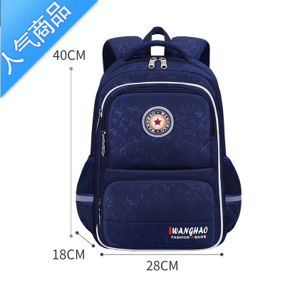 FENGHOU新款书包小学生男女童一二三到六年级儿童护脊减负双肩包超轻防水学生书包