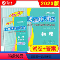 [正版]2023版领先一步高考一模卷 物理 文化课强化训练 高考一模卷物理试卷+答案 上海市高三第一学期期末质量抽查试
