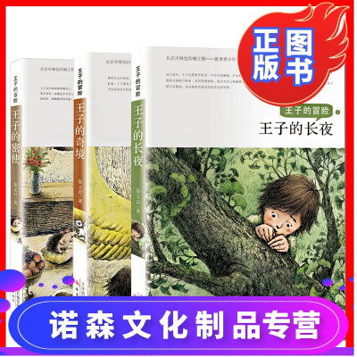 诺森文化-王子的冒险系列全3册/王子的长夜+王子的奇境+王子的密使秦文君/著中国儿童文学三四五六年级/图画书/