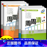 周周清检测 7上 语文英语人教版+数学科学浙教版 七年级/初中一年级 [正版]2024秋 BFB系列周周清检测七年级/7