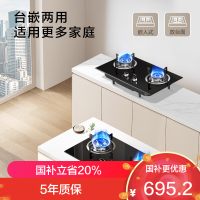 老板(Robam)星辰系列燃气炉燃气灶液化气20B0A 双灶嵌入台式煤气灶5.2kW可调节灶具换装不改孔