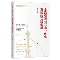 音像上海长三角一体化发展的实践创新金瑶梅