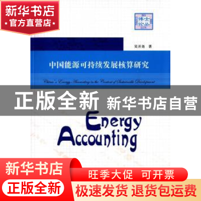 正版 中国能源可持续发展核算研究 吴开尧著 中国科学技术大学出