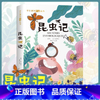 法布尔昆虫记 [正版]法布尔昆虫记森林报汤姆叔叔的小屋柳林风声彩图注音版一二三年级必读的课外书科普读物故事书6-12岁儿
