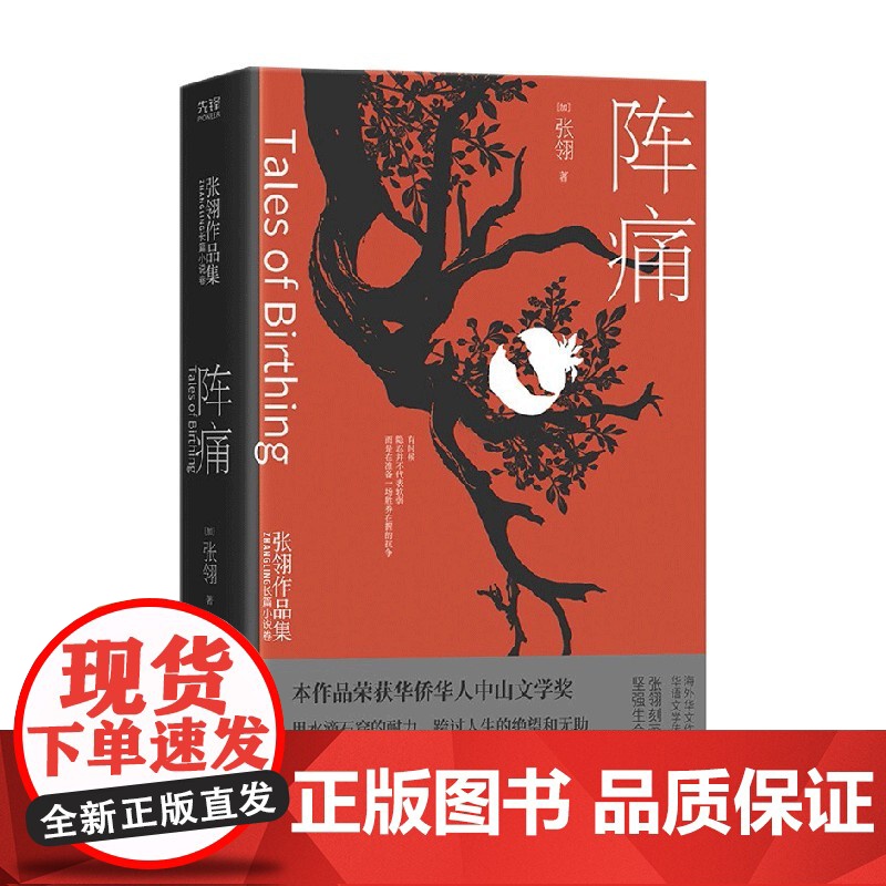 阵痛 张翎 著 小说