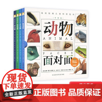 绘本动物面对面全4册硬壳童书精装经典科普正版图画书