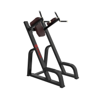 扬子(YANGZI)双杠提膝训练器YZ-TB47