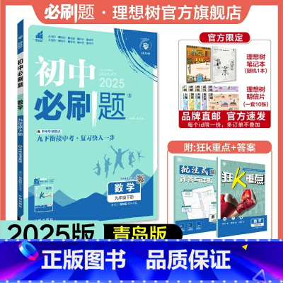 数学 QD 九年级下 [正版]理想树2025版初中必刷题九年级下册数学青岛版QD初三必刷题同步练习中考复习资料模拟题辅导