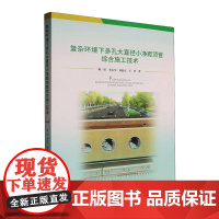 书籍正版 复杂环境下多孔大直径小净距顶管综合施工技术 陈旺 中南大学出版社 建筑 9787548762270