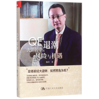 音像E退潮(大逆转中的风险与机遇)(精)陶冬