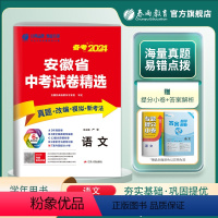 语文 安徽省 [正版]安徽版备考2024安徽省中考语文考前冲刺预测模拟试卷2023年安徽省中考语文真题精选试卷中考语文真