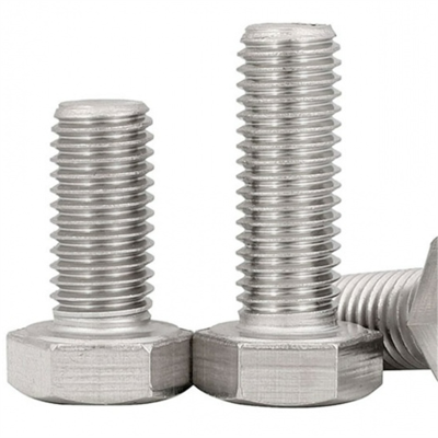 幸庭 不锈钢外六角螺栓 M20*70 个