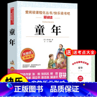 童年 [正版]小英雄雨来管桦着 四年级下册阅读课外书必读的书目快乐读书吧三至六年级上册书籍小学人民老师教育出版社6上 下